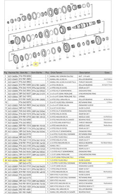 1.VİTES YILDIZ DİŞLİ (G 100)