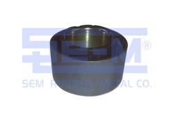 Denge Kolu Lastiği - ŞEM