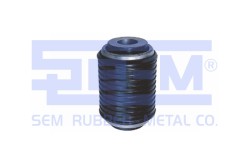 Denge Kolu Lastiği - ŞEM