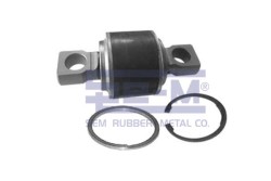 Denge Kolu Lastiği - ŞEM