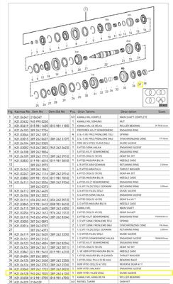 GERİ VİTES YILDIZ DİŞLİ