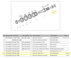 GRUP MİLİ ARKA BİLYA - KAÇMAZLAR