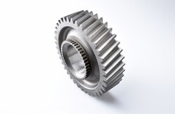 GÜNEŞ DİŞLİ - KAÇMAZLAR