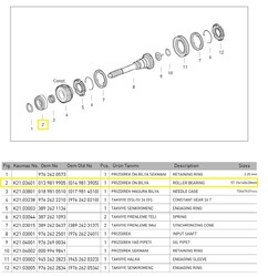PRİZDİREK ÖN BİLYA - KAÇMAZLAR
