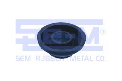 Vites Körüğü - ŞEM