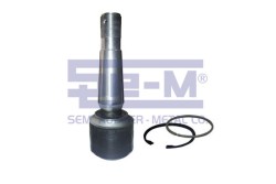 Vites Körüğü - ŞEM