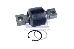 Vites Körüğü - ŞEM