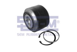 Vites Körüğü - ŞEM